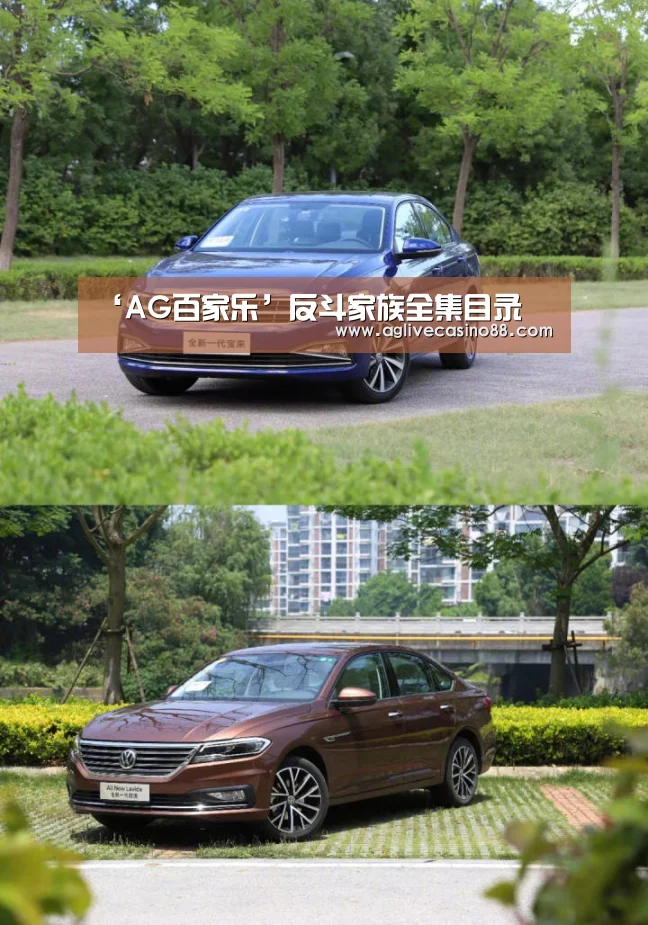 ‘AG百家乐’反斗家族全集目录(图1) AG百家乐