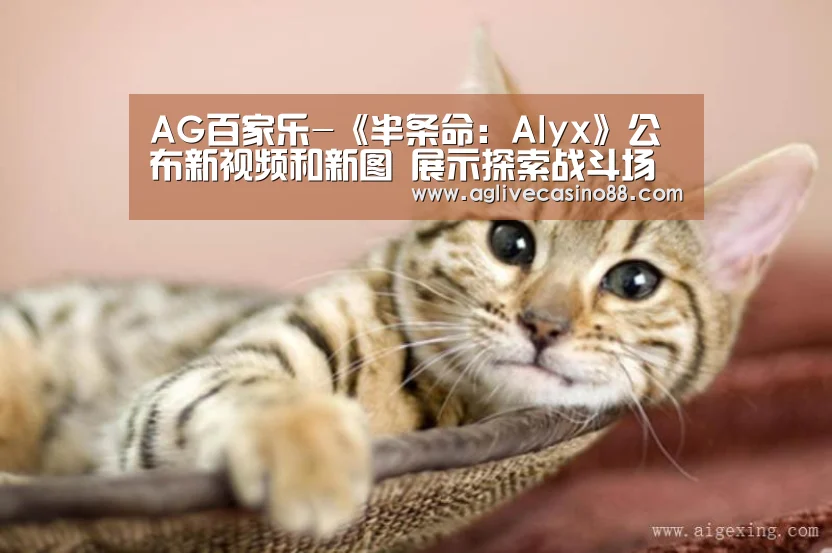 AG百家乐-《半条命:Alyx》公布新视频和新图 展示探索战斗场景(图3) AG官方