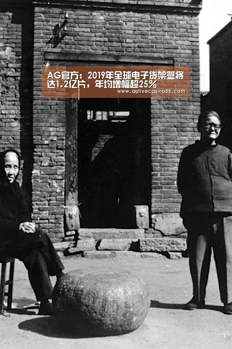 AG官方:2019年全球电子货架签将达1.2亿片,年均增幅超25%(图3) AG官方