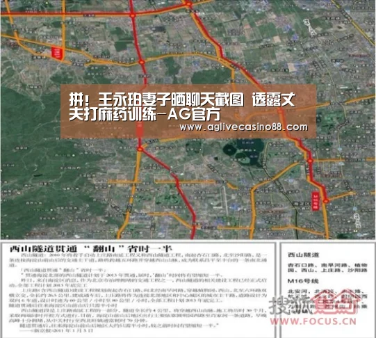 拼!王永珀妻子晒聊天截图 透露丈夫打麻药训练-AG官方(图1) AG旗舰厅