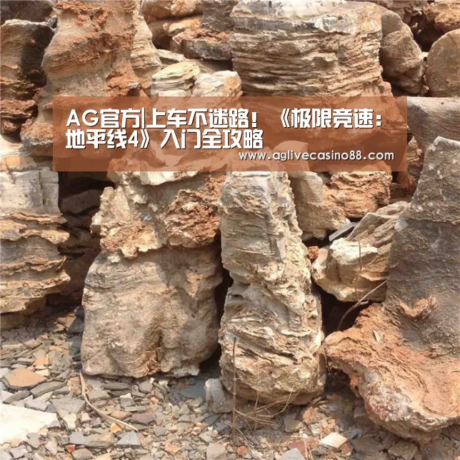 AG官方|上车不迷路!《极限竞速:地平线4》入门全攻略(图1) AG官方